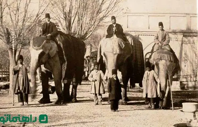 فیل جنگی ارتش ناصرالدین شاه قاجار + عکس