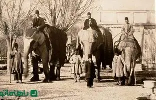 فیل جنگی ارتش ناصرالدین شاه قاجار + عکس