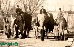 فیل جنگی ارتش ناصرالدین شاه قاجار + عکس