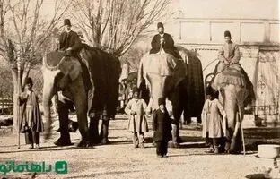 فیل جنگی ارتش ناصرالدین شاه قاجار + عکس