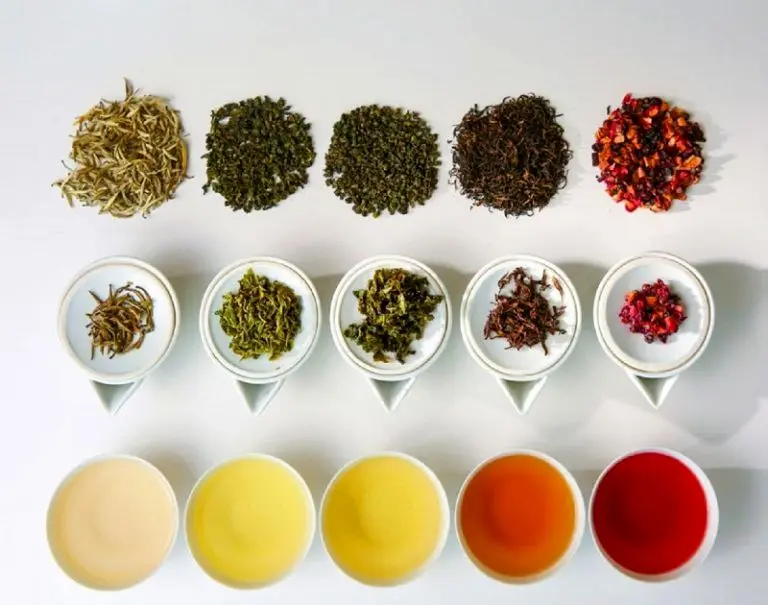 دمنوش های مفید: ۱۲ دمنوش گیاهی مفید که باید امتحان کنید!