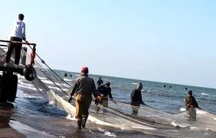 صید ماهی عجیب و غریب در انزلی؟! شیلات بیانیه داد