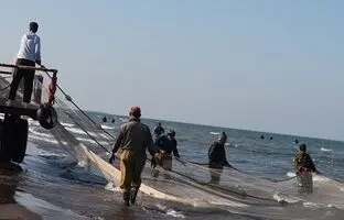 صید ماهی عجیب و غریب در انزلی؟! شیلات بیانیه داد