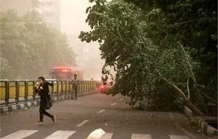 وضعیت آب و هوا امروز جمعه 9 خرداد 1404/ پیش بینی وضعیت هوا فردا شنبه 10 خرداد