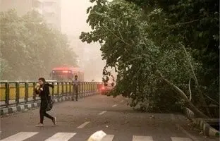 وضعیت آب و هوا امروز جمعه 9 خرداد 1404/ پیش بینی وضعیت هوا فردا شنبه 10 خرداد