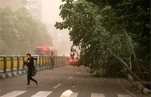 وضعیت آب و هوا امروز جمعه 9 خرداد 1404/ پیش بینی وضعیت هوا فردا شنبه 10 خرداد
