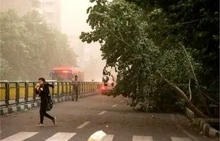 وضعیت آب و هوا امروز جمعه 9 خرداد 1404/ پیش بینی وضعیت هوا فردا شنبه 10 خرداد