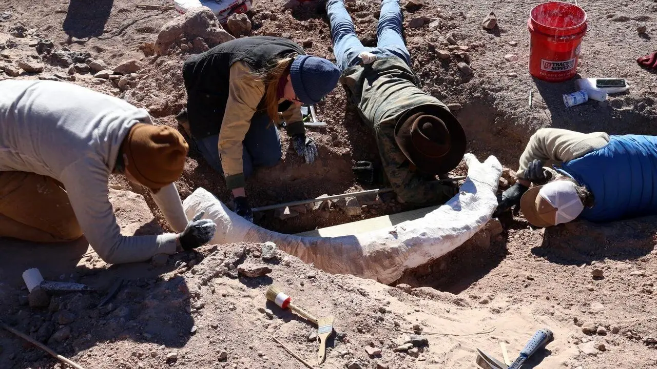 کنده درخت، گنج ۱۲ هزار ساله از آب درآمد + تصویر