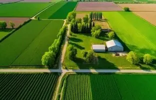 چرا دانمارک زمین‌های کشاورزی را به جنگل تبدیل می‌کند؟