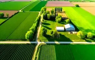 چرا دانمارک زمین‌های کشاورزی را به جنگل تبدیل می‌کند؟