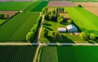 چرا دانمارک زمین‌های کشاورزی را به جنگل تبدیل می‌کند؟
