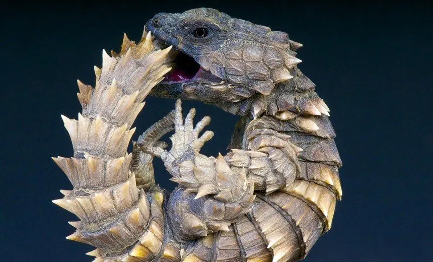 (تصویر) اژدهای «بازی تاج و تخت» در دل طبیعت