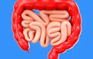  عواملی که منجر به بروز سرطان‌های گوارشی می‌شود 