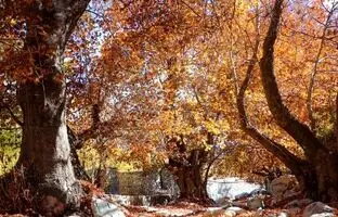 سفر به عهد دقیانوس؛ جاهای دیدنی جیرفت در پاییز