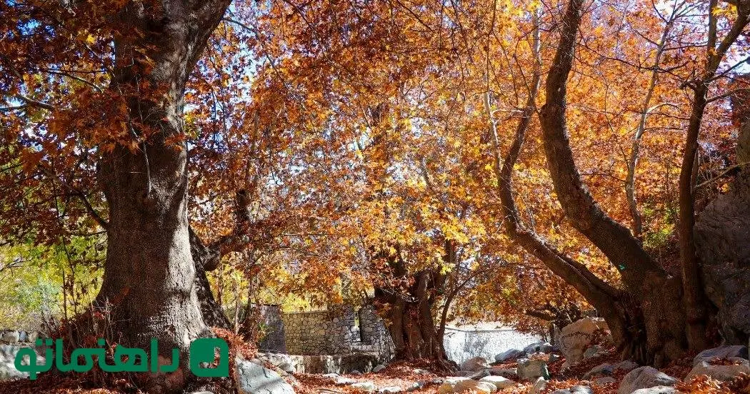 سفر به عهد دقیانوس؛ جاهای دیدنی جیرفت در پاییز