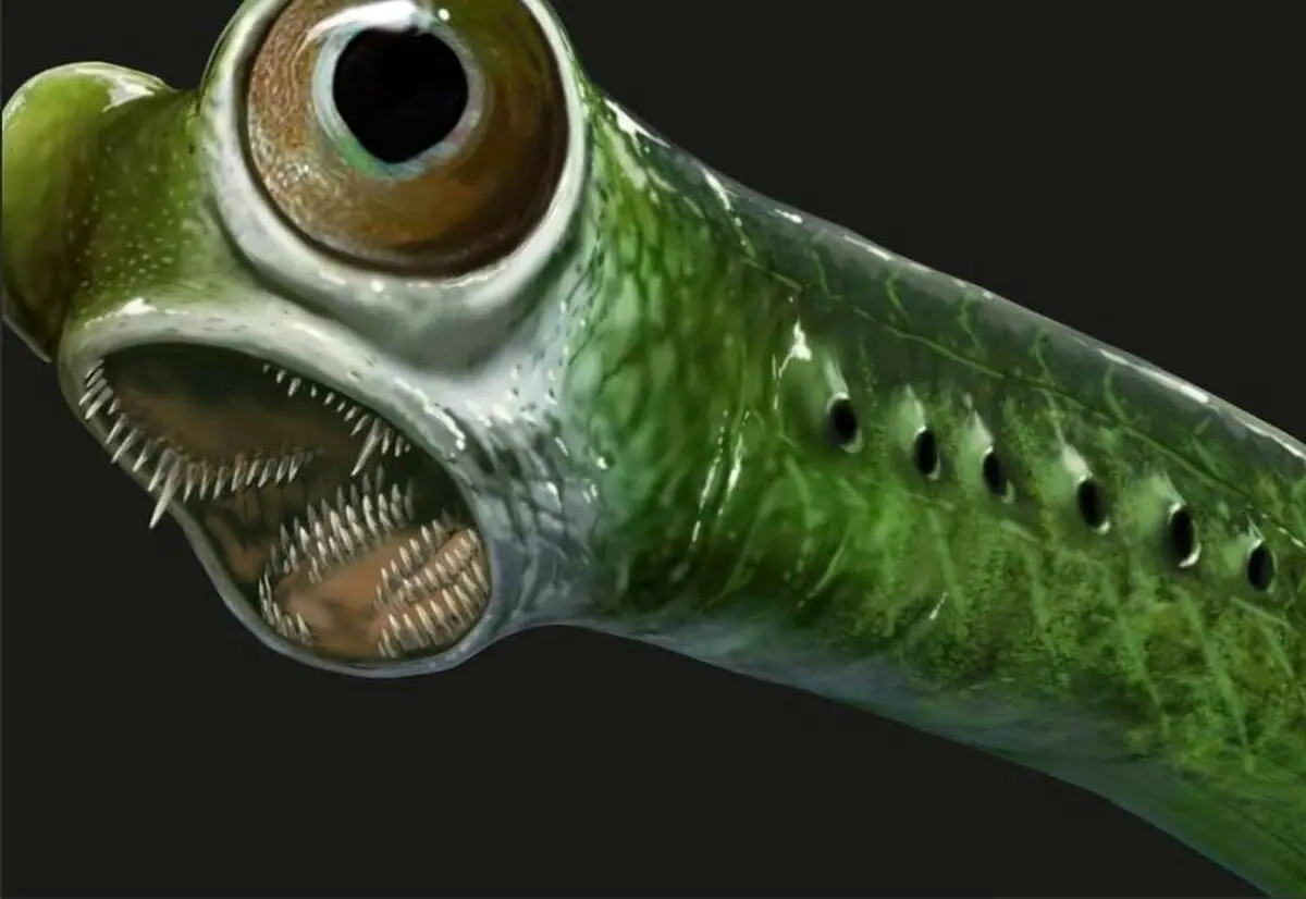 تیزترین «دندان» تاریخ متعلق به این جانور منقرض‌شده‌ است