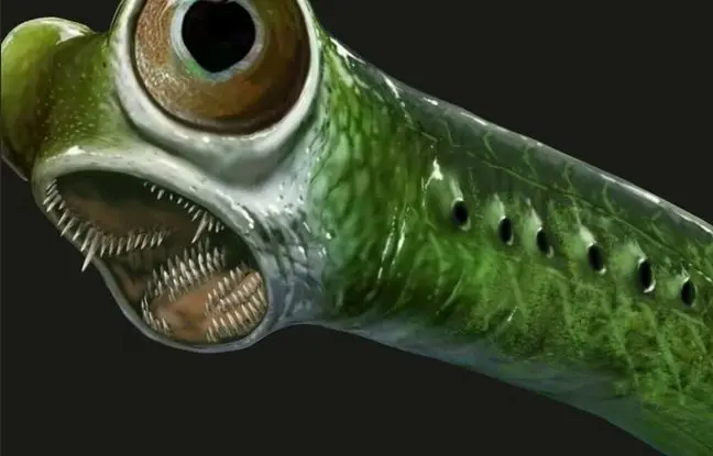 تیزترین «دندان» تاریخ متعلق به این جانور منقرض‌شده‌ است