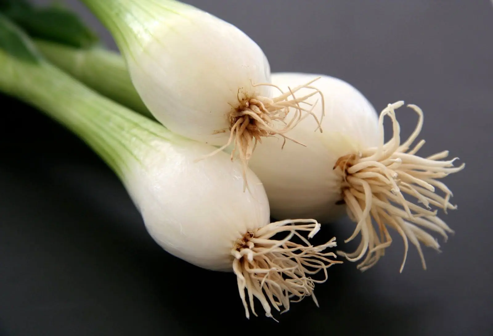 چطور با پیازچه، پوستی صاف، مرطوب و سالم داشته باشیم؟ 