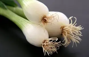 چطور با پیازچه، پوستی صاف، مرطوب و سالم داشته باشیم؟ 