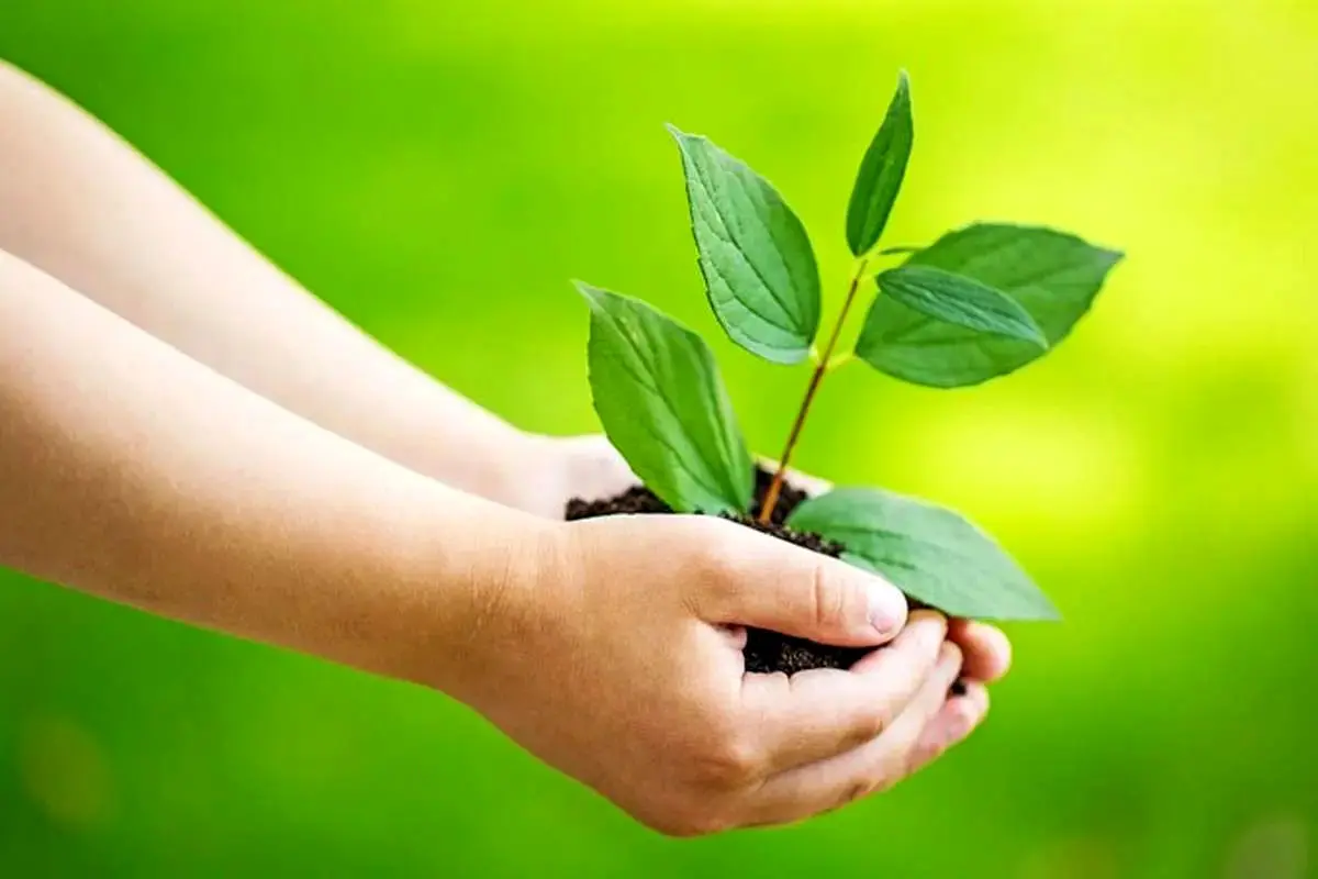  جایگاه تو در جهان کجاست؟ ۷ راه طلایی برای یافتن معنای زندگی 