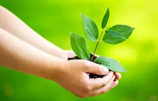  جایگاه تو در جهان کجاست؟ ۷ راه طلایی برای یافتن معنای زندگی 