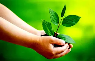  جایگاه تو در جهان کجاست؟ ۷ راه طلایی برای یافتن معنای زندگی 