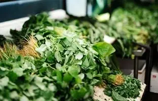 خوشمزه بپزید؛ ترکیبات اصلی سبزی قورمه شمالی