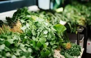 خوشمزه بپزید؛ ترکیبات اصلی سبزی قورمه شمالی