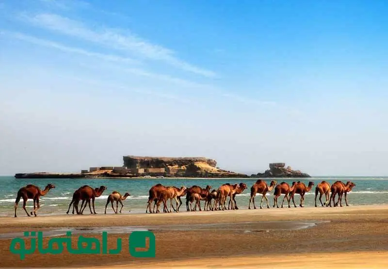5 مکان دیدنی اطراف جزیره ناز برای سفری یک روزه به قشم