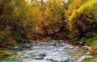 سفر به روستای شهرستانک؛ بهشتی ییلاقی در آغوش البرز