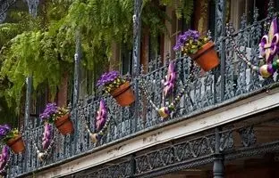 گل‌های بهاری 1404: بنفشه‌هایی که در بالکن شما سلطنت می‌کنند