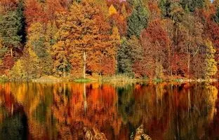 پاییز زودرس در بهشت اردبیل؛ جاهای دیدنی که شهریور ماه رنگ عوض می‌کنند