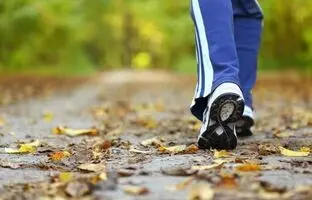 پیاده‌روی به سبک ژاپنی‌ها؛ چرا کارشناسان آن را معجزه‌ سلامت می‌دانند؟