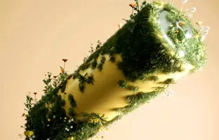 باتری جدید دانشمندان چینی با باکتری کار می‌کند؛ بازدهی 99 درصدی با قابلیت شارژ خودکار