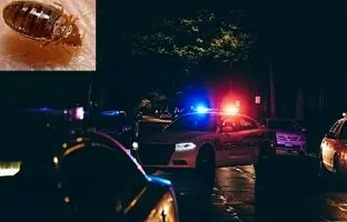 حل پرونده‌های جنایی با کمک ساس‌های تختخواب!