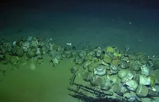 گنجینۀ کوزه‌های سالم 2 هزارساله در عمق 40 متری دریا در سواحل آنتالیا کشف شد