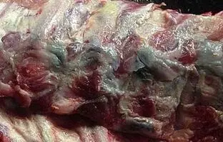 از کجا بفهمیم گوشت فاسد شده است؟