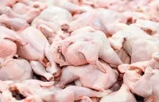 قیمت گوشت مرغ، امروز ۳ مهر ۱۴۰۳