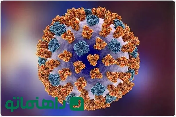 همه چیز درباره واکسن آنفولانزا؛ از بهترین زمان تزریق تا عوارض