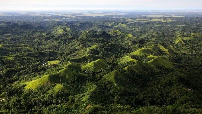 کشف گِیرا؛ یک موجود غول‌پیکر با پوست شل در پاپوآ گینه نو + عکس