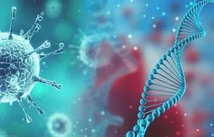 
شناسایی ویروس کرونای جدید؛ آیا یک همه‌گیری دیگر در راه است؟
