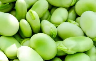 خوشمزه بپزید؛ چگونه باقلا را آماده کنیم، از پوست‌گیری تا خشک کردن بهینه