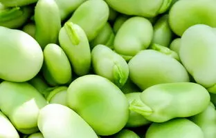 خوشمزه بپزید؛ چگونه باقلا را آماده کنیم، از پوست‌گیری تا خشک کردن بهینه
