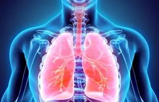 ۵ راهکار پاکسازی ریه‌ها در آلودگی هوا