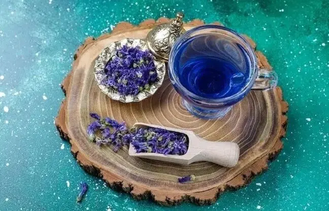 گلی با خواص شفابخشی 