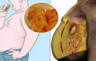 از بین بردن چربی شکمی با قهوه ! | چگونه قهوه بنوشیم تا بیشترین بهره را ببریم؟