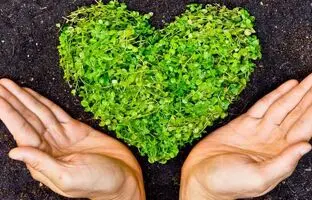 ۱۰ تغییر کوچک برای نجات بزرگ: چطور خانه و زندگی‌تان را سبزتر کنید؟