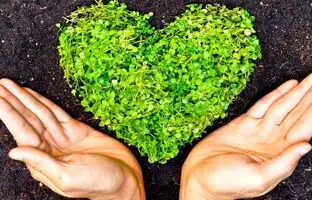 ۱۰ تغییر کوچک برای نجات بزرگ: چطور خانه و زندگی‌تان را سبزتر کنید؟