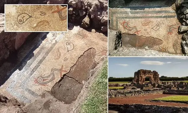 کشف یک موزائیک باستانی به نام «آکواریوم یخ‌ زده در سنگ» با قدمتی ۲ هزار ساله