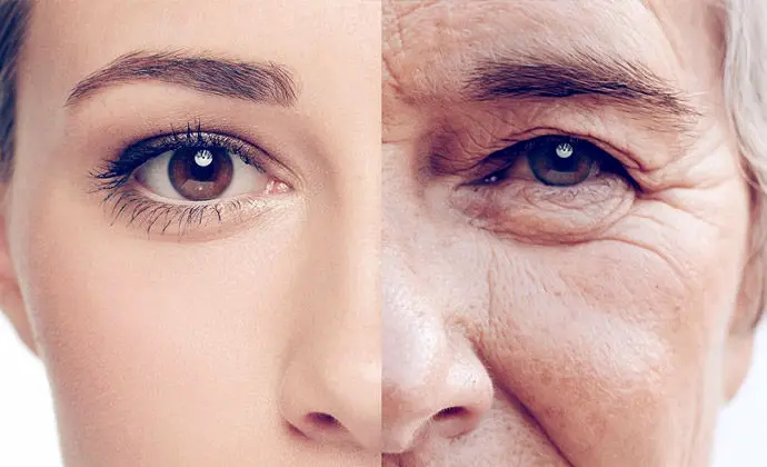 کلروفیل و کلاژن؛ معجزه ای سبز برای پوست یا تبلیغات؟